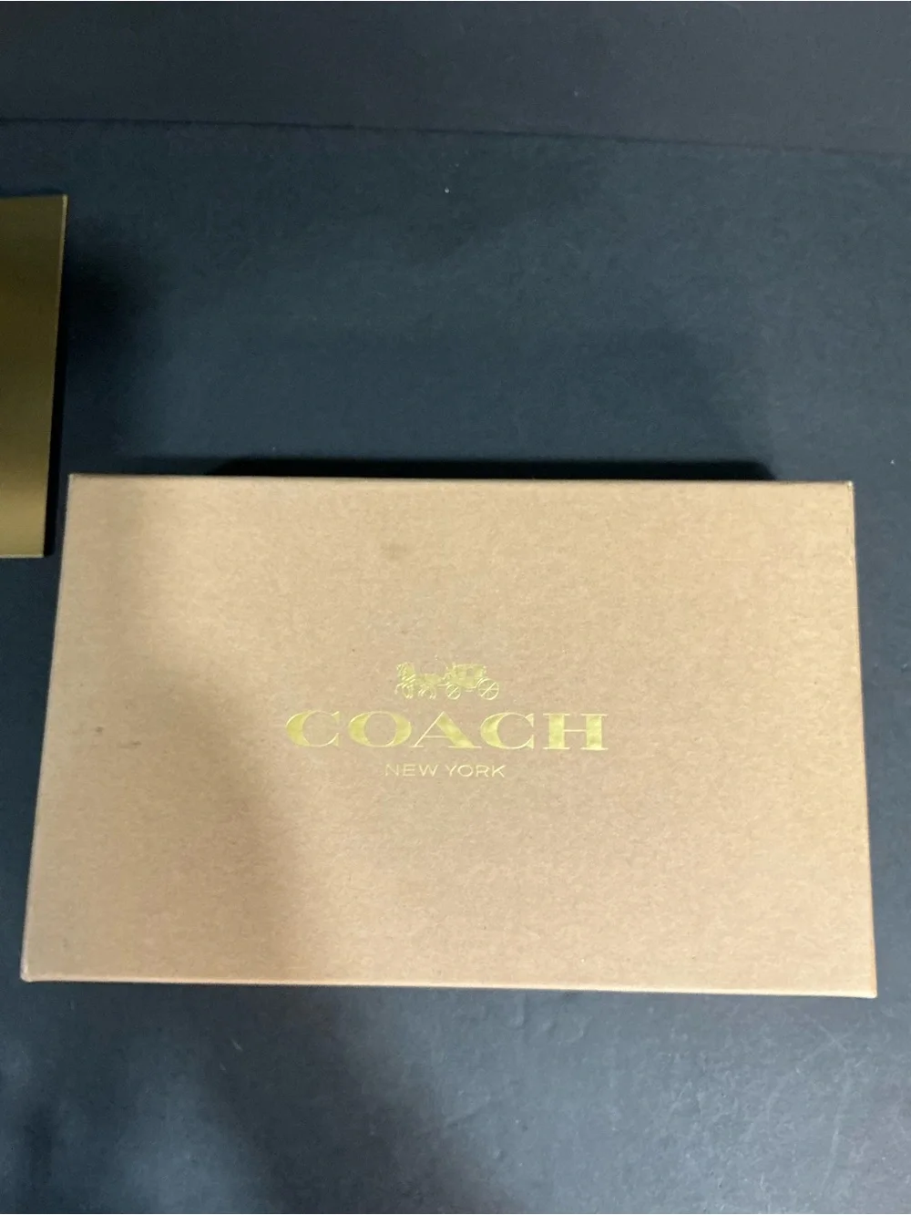 The Coach Boxed Corner Zip Wristlet With Star Print And Charms